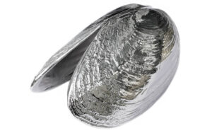 Mosselschelp Serveertang Anovi